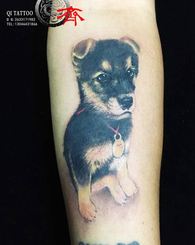 狗纹身图片_手臂欧美写实小狗纹身图案