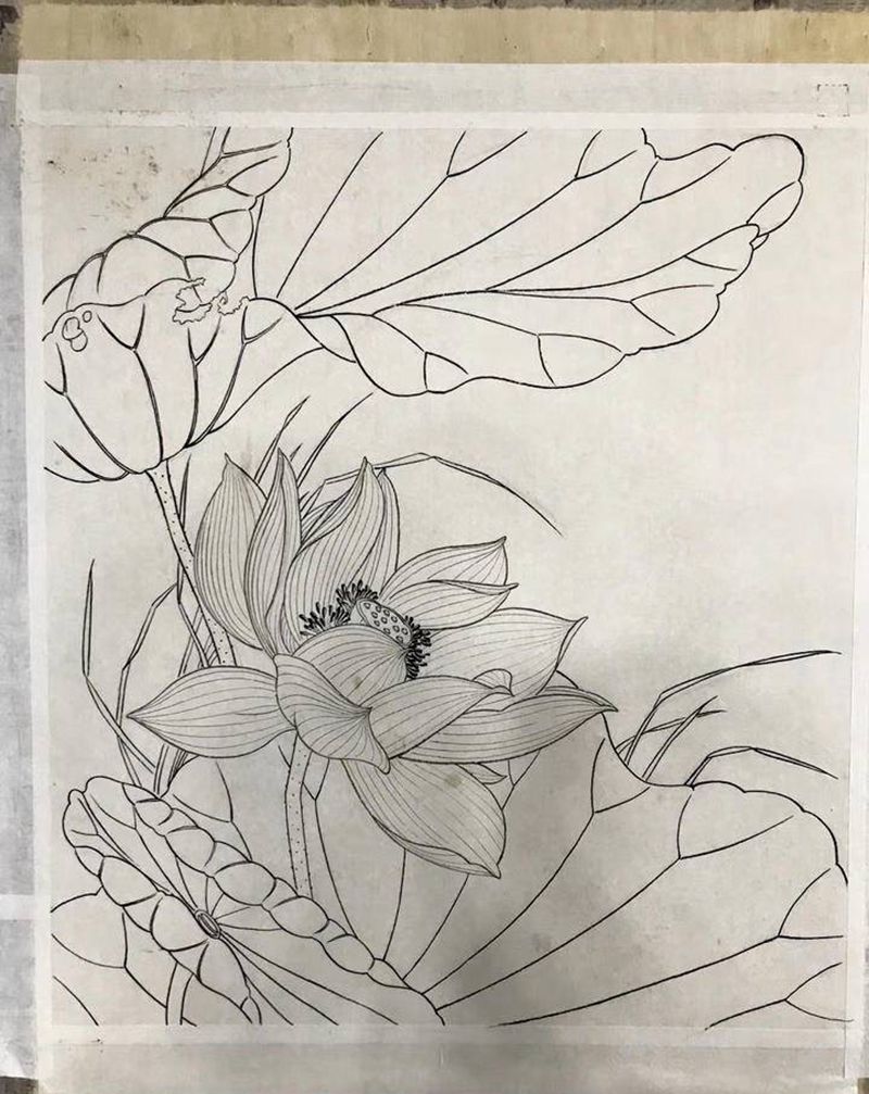 工笔荷花-线纹身图片_工笔纹身图案