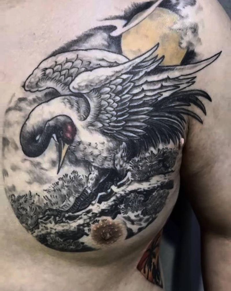 松鹤 !恢复后纹身图片_胸部腹部新传统纹身图案