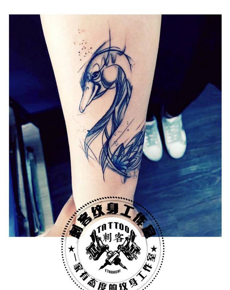 速写天鹅纹身图片_手臂纹身图案