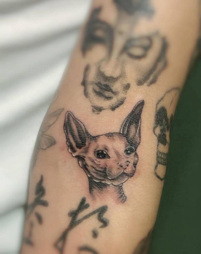 扭蛋纹身扭到的斯芬克斯纹身图片_手臂纹身图案