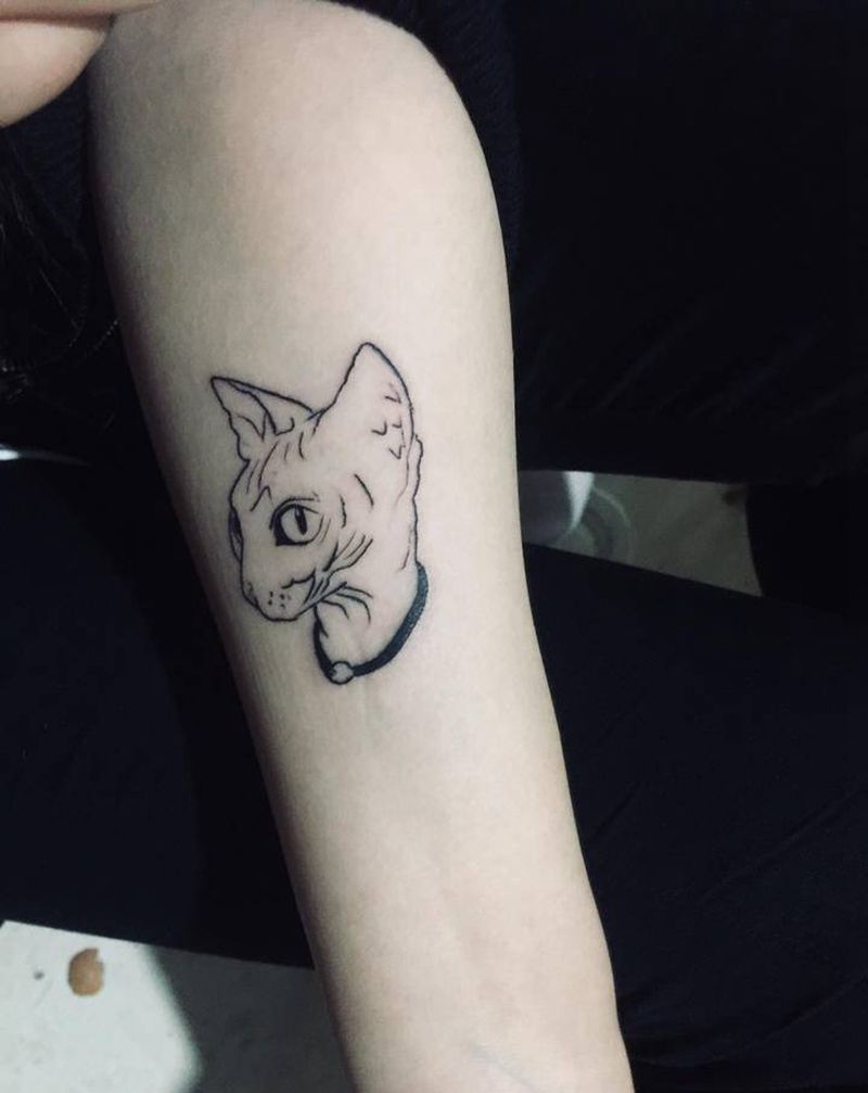 布鲁斯大人纹身图片_手臂纹身图案