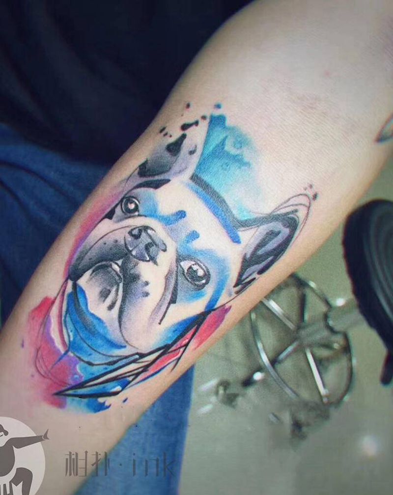 法斗纹身图片_手臂水彩New School纹身图案