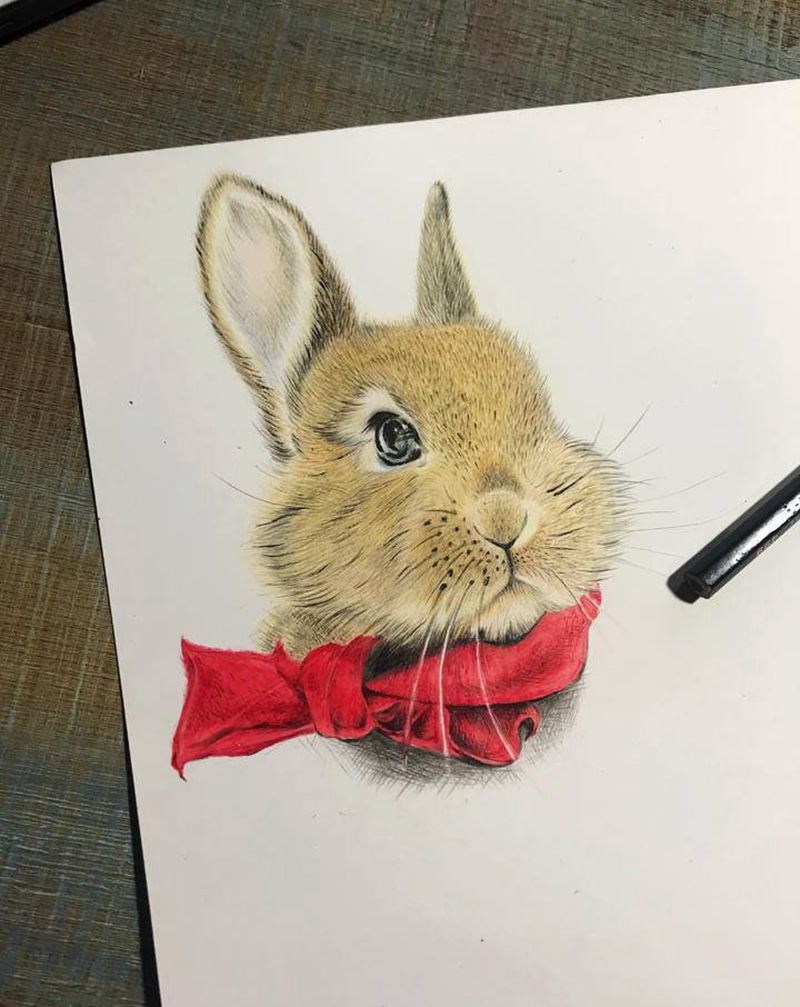 小兔子（日常练习）纹身图片_手臂欧美写实纹身图案