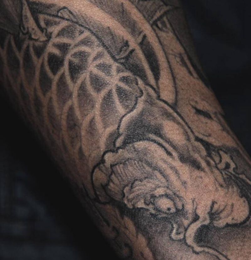 锦鲤黑灰上色恢复后纹身图片_手臂新传统纹身图案