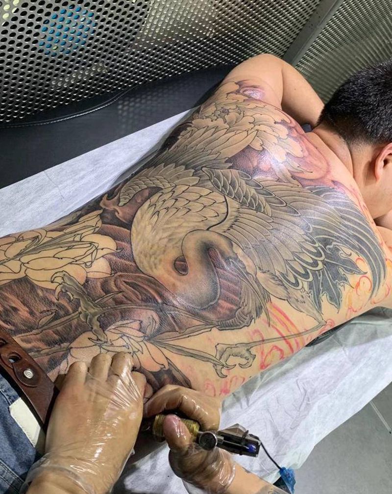 鹤纹身图片_背部纹身图案