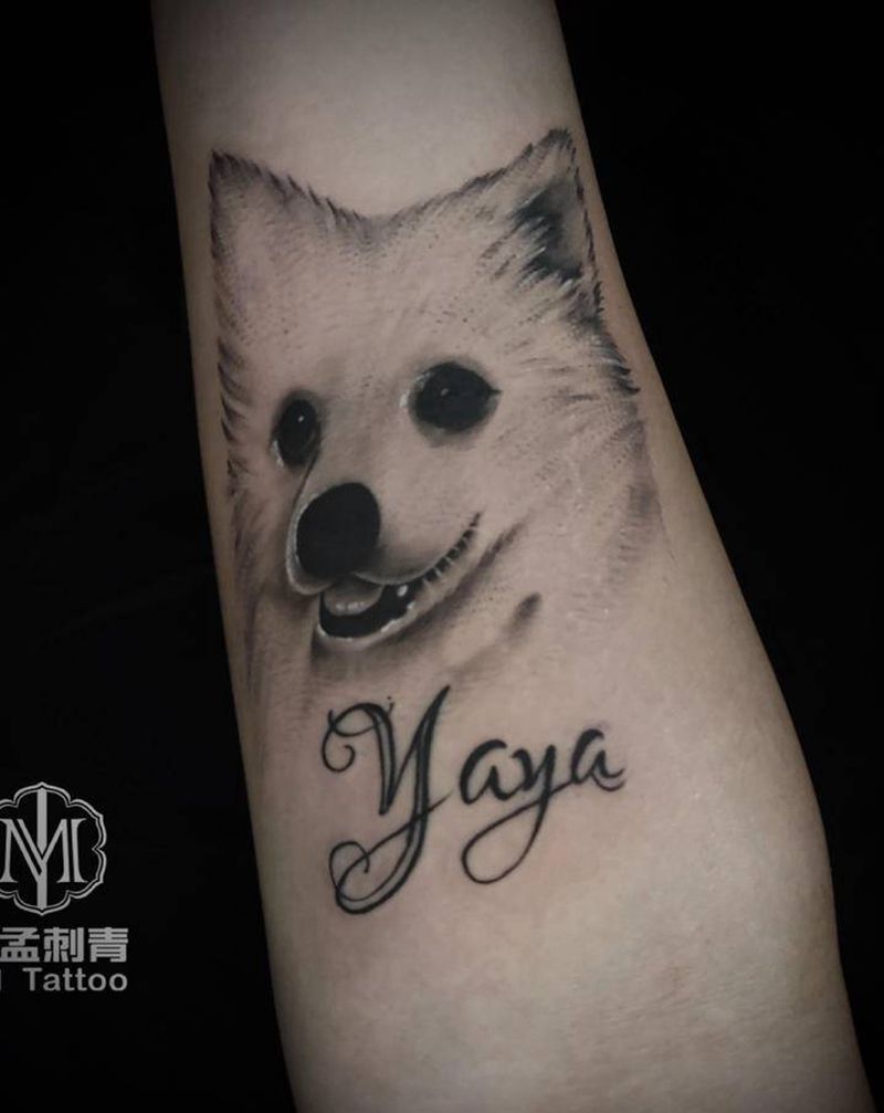 家有萌宠纹身图片_手臂小清新纹身图案