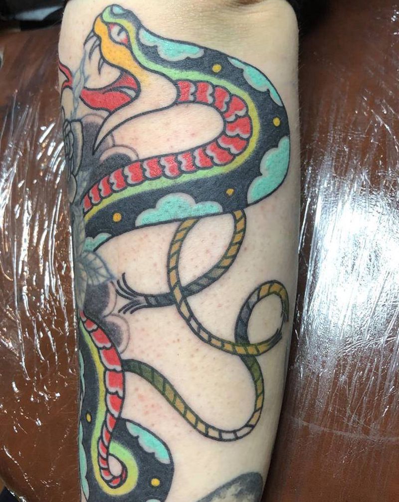 蛇纹身图片_手臂Old School纹身图案