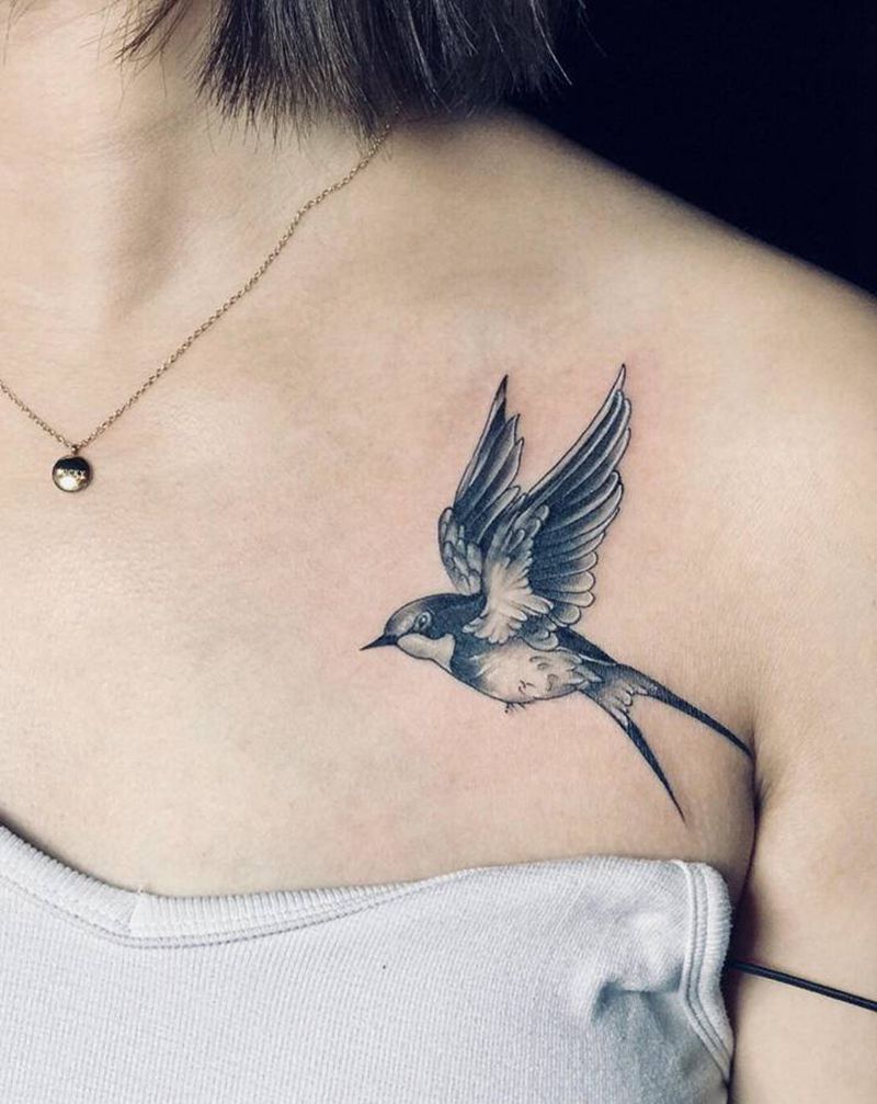 小燕子、纹身图片_胸部纹身图案