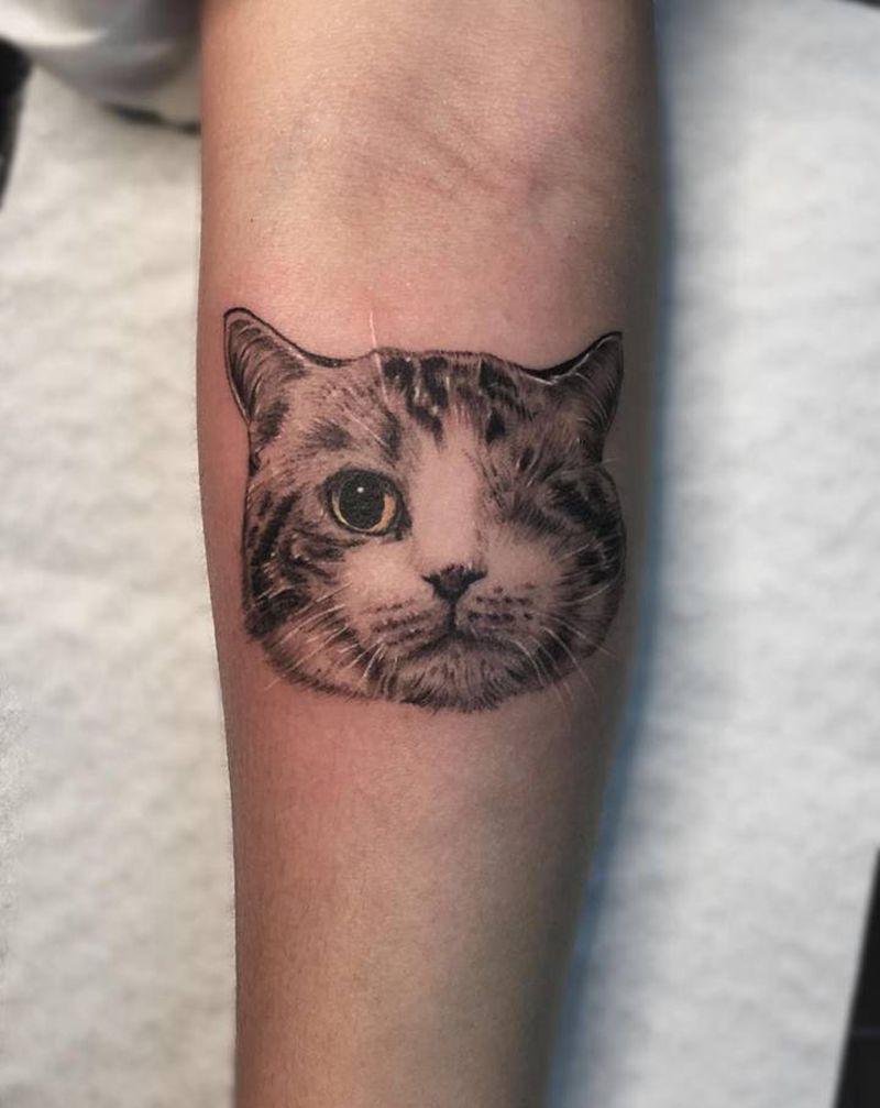 猫纹身图片_手臂欧美写实纹身图案