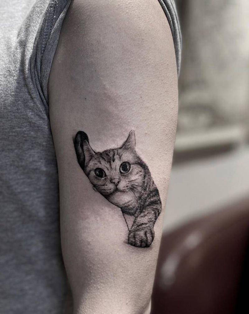 猫纹身图片_手臂欧美写实纹身图案