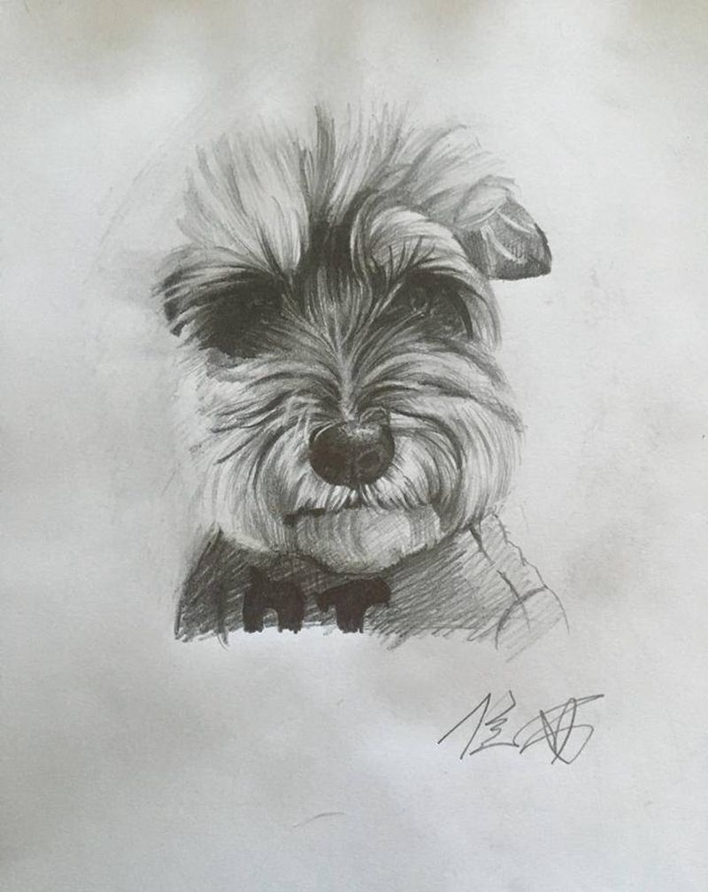 客人的狗狗纹身图片_腿部欧美写实纹身图案