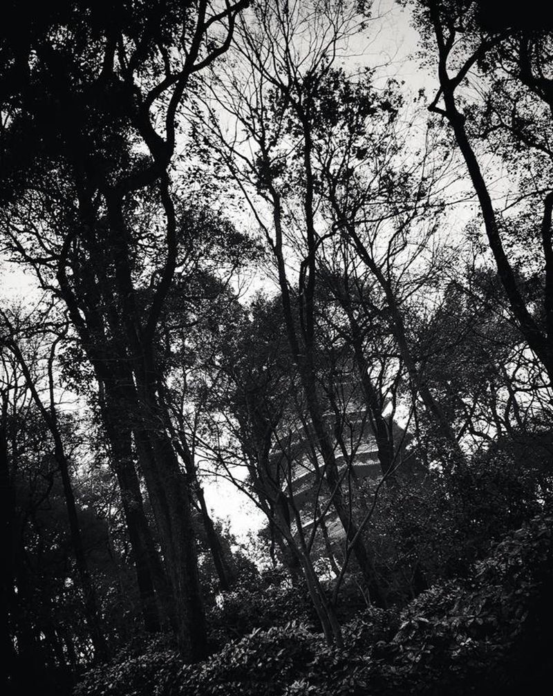 19年[再见] 20年破惑 问纹身图片_老传统纹身图案