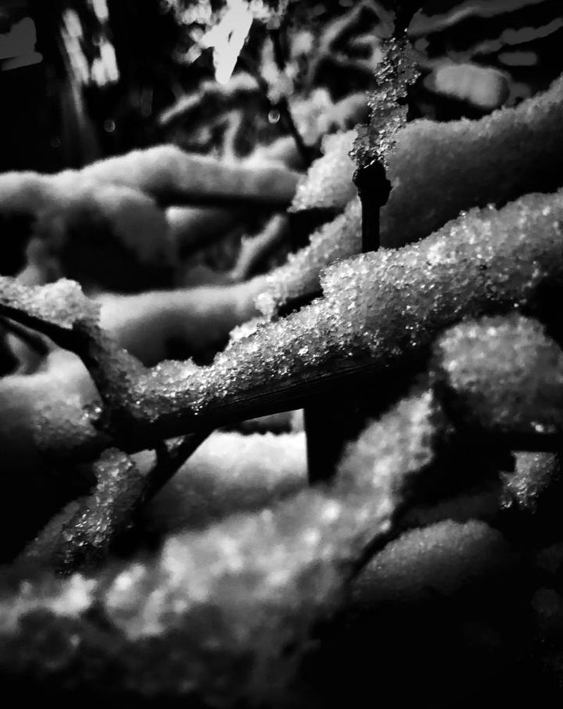 你说这场二月的雨雪 会不会洗刷纹身图片_老传统纹身图案