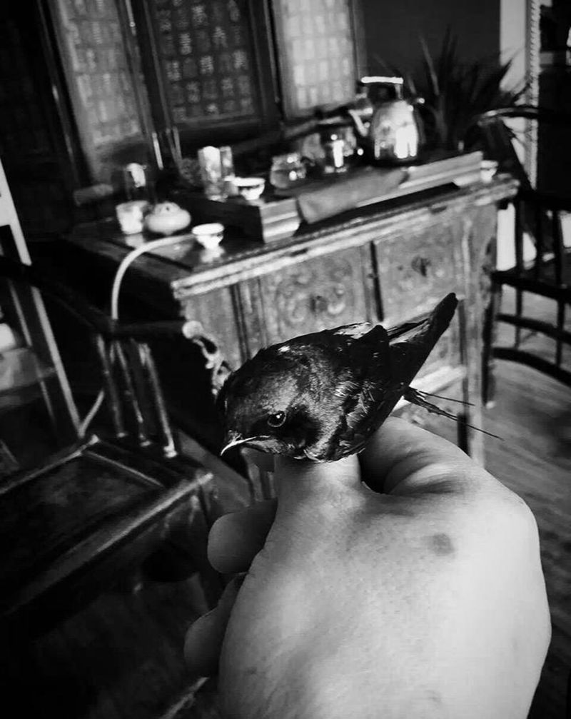 曾经的过客今年会不会再来 留纹身图片_老传统纹身图案