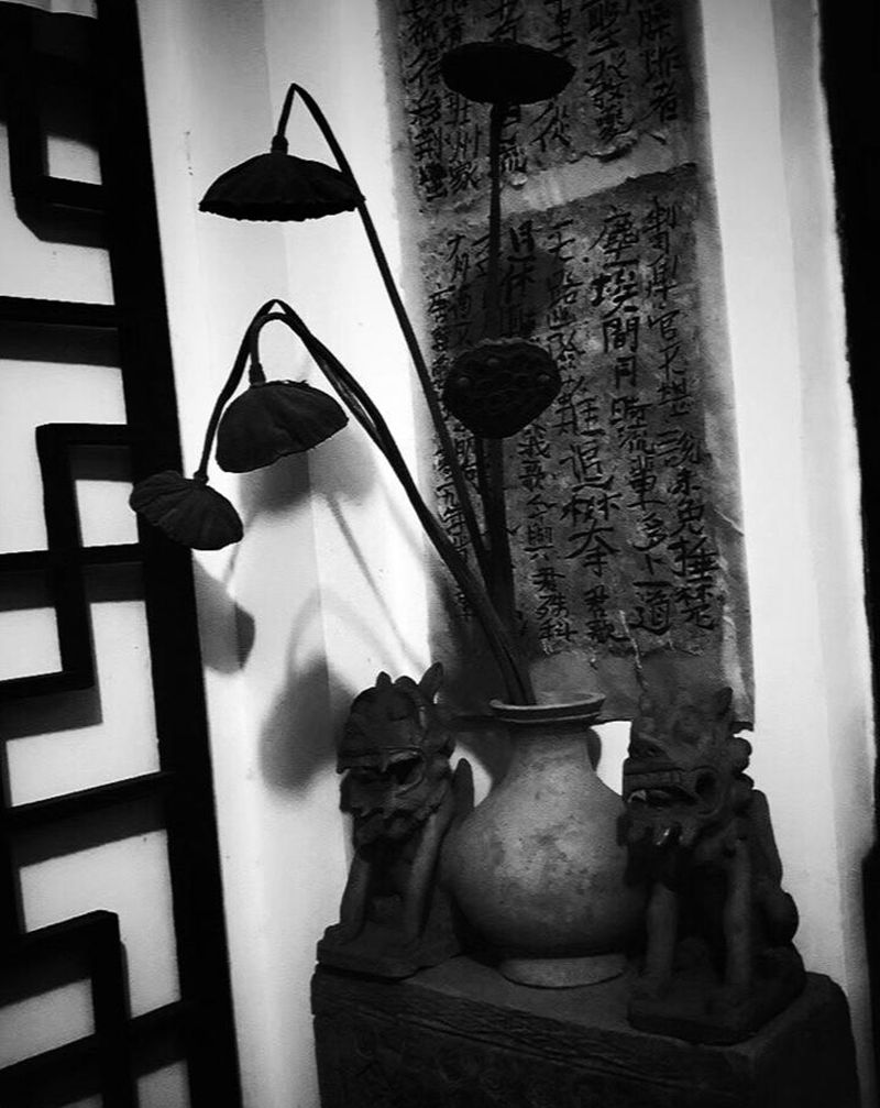 师尊道场一角～