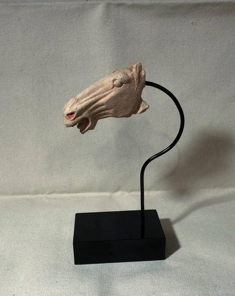 仲夏端午 苍龙七宿  蝉声入青纹身图片_老传统纹身图案