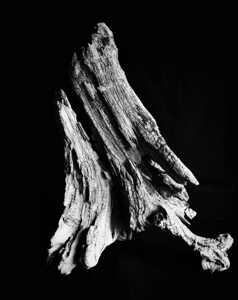 朽～纹身图片_老传统纹身图案