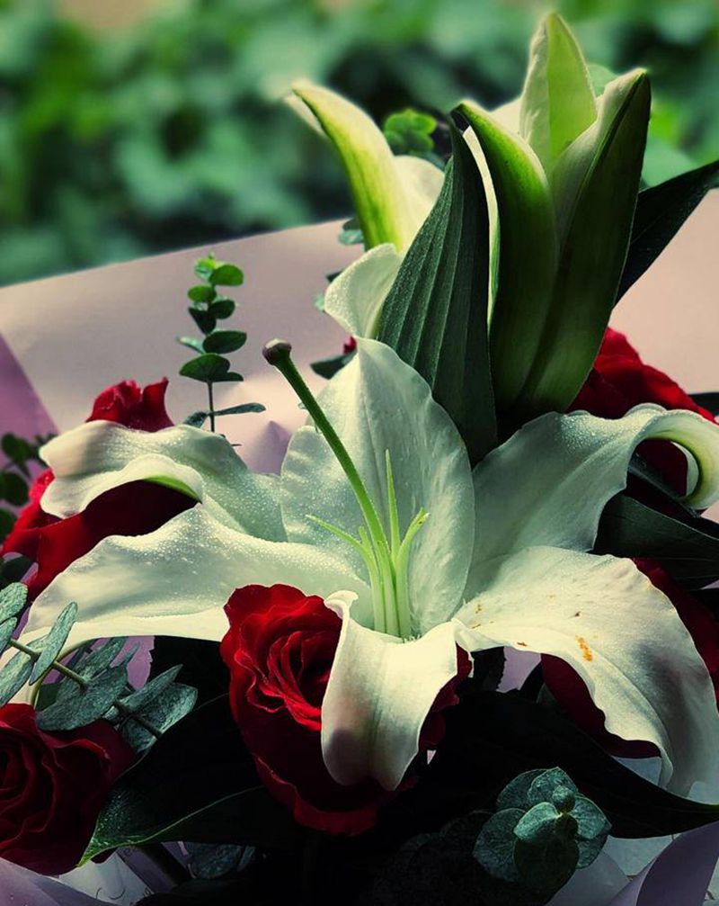 雨夜花开～[机智]纹身图片_老传统纹身图案