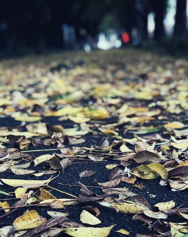 秋天有秋天的颜色 你有你的色调纹身图片_老传统纹身图案