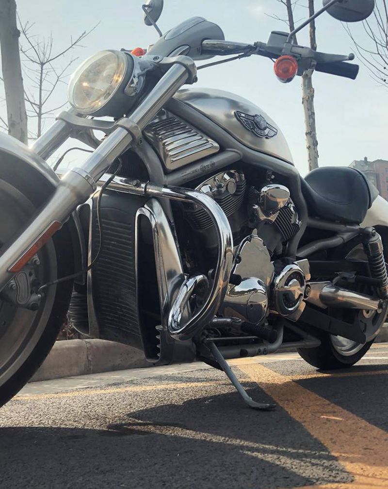 春暖花开 开心溜马 赶走疲劳纹身图片_老传统纹身图案