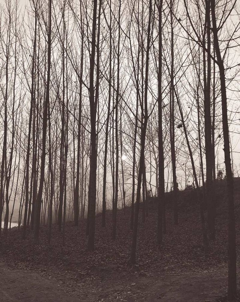 家乡水 童年的玩处～纹身图片_老传统纹身图案