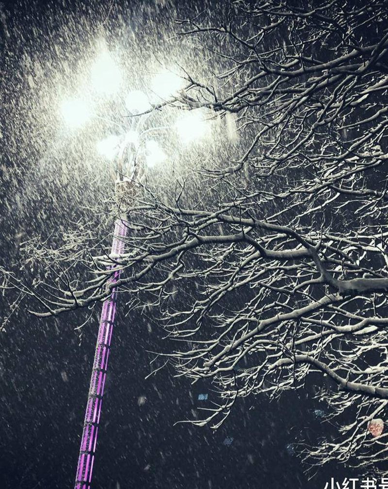 该来的终究会来 非喜即灾～[月纹身图片_老传统纹身图案