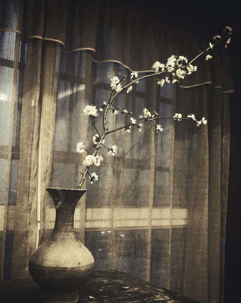 一支樱花～纹身图片_老传统纹身图案