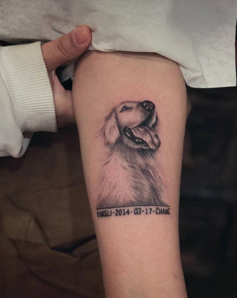 您的爱犬 刺给您～纹身图片_老传统纹身图案