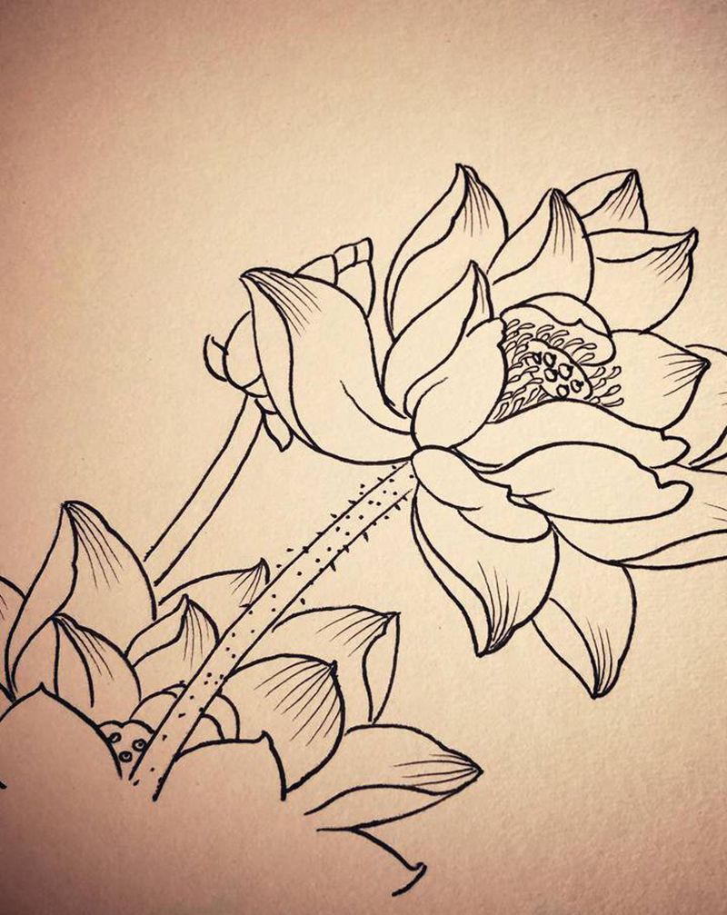 习作～纹身图片_老传统纹身图案