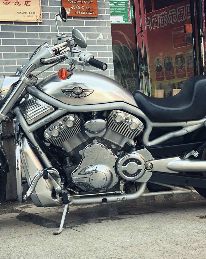 我的白龙驹不仅野 细节近乎极致纹身图片_老传统纹身图案