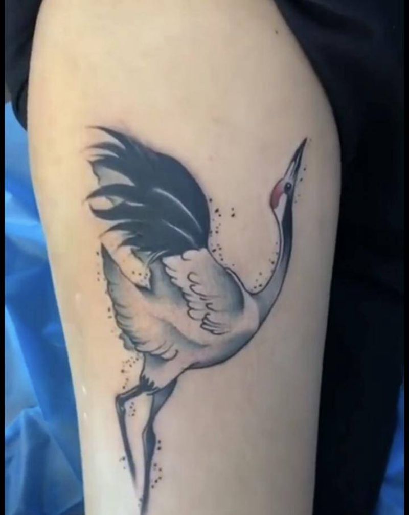 仙鹤纹身图片_腿部水墨纹身图案