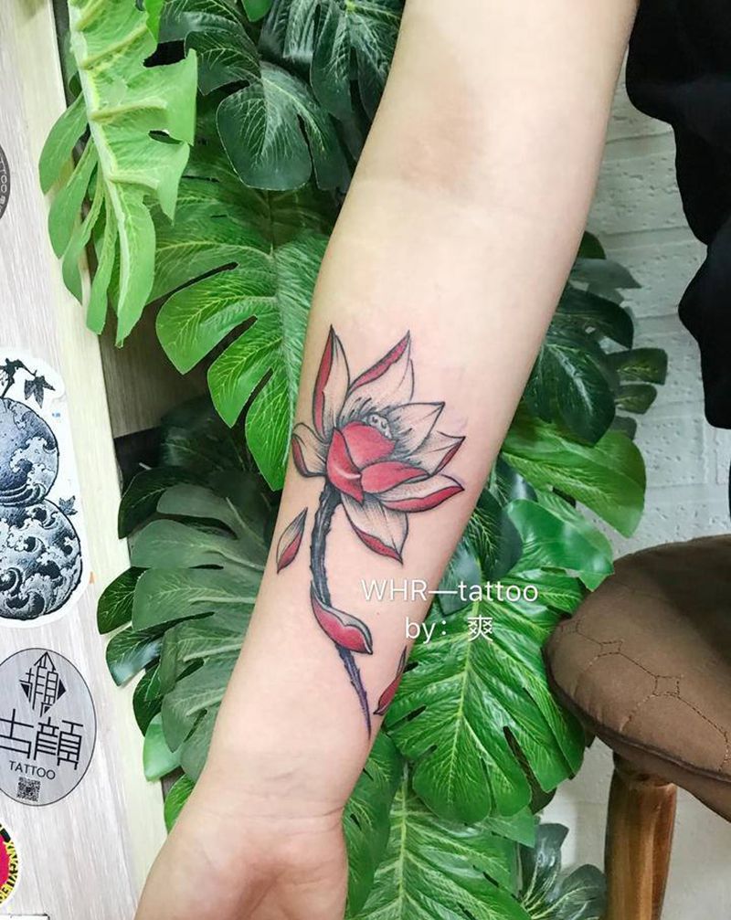 莲纹身图片_手臂新传统荷花纹身图案