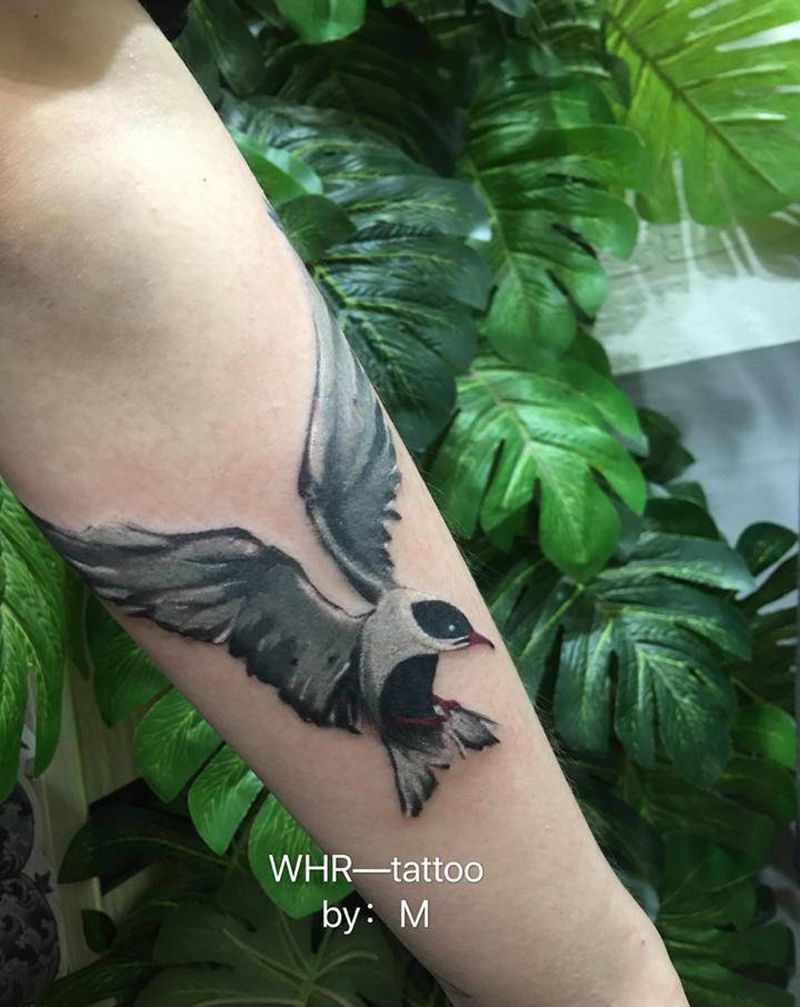 海鸥纹身图片_手臂水墨纹身图案