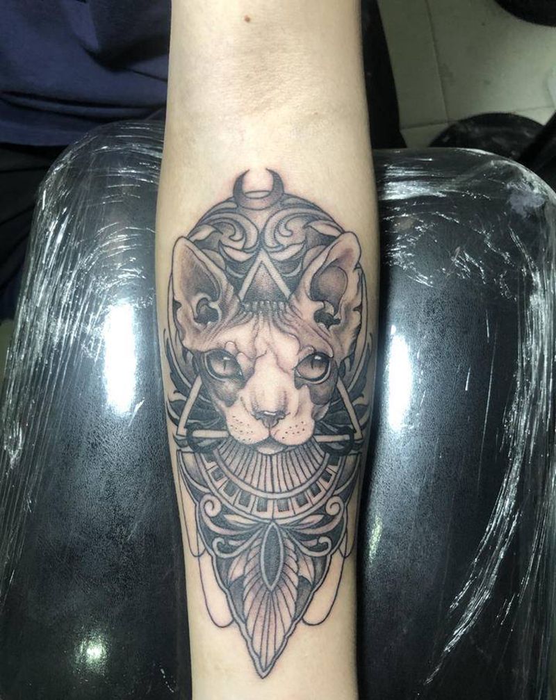 猫纹身图片_欧美写实纹身图案