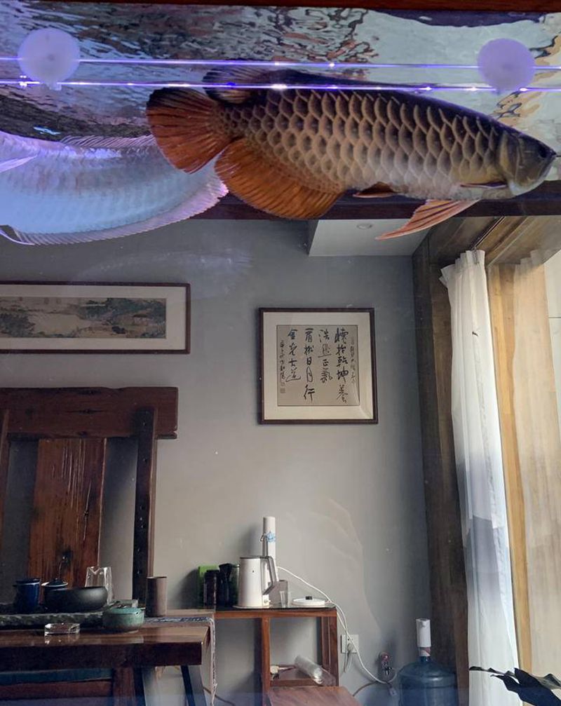 店内环境纹身图片_颈部老传统纹身图案