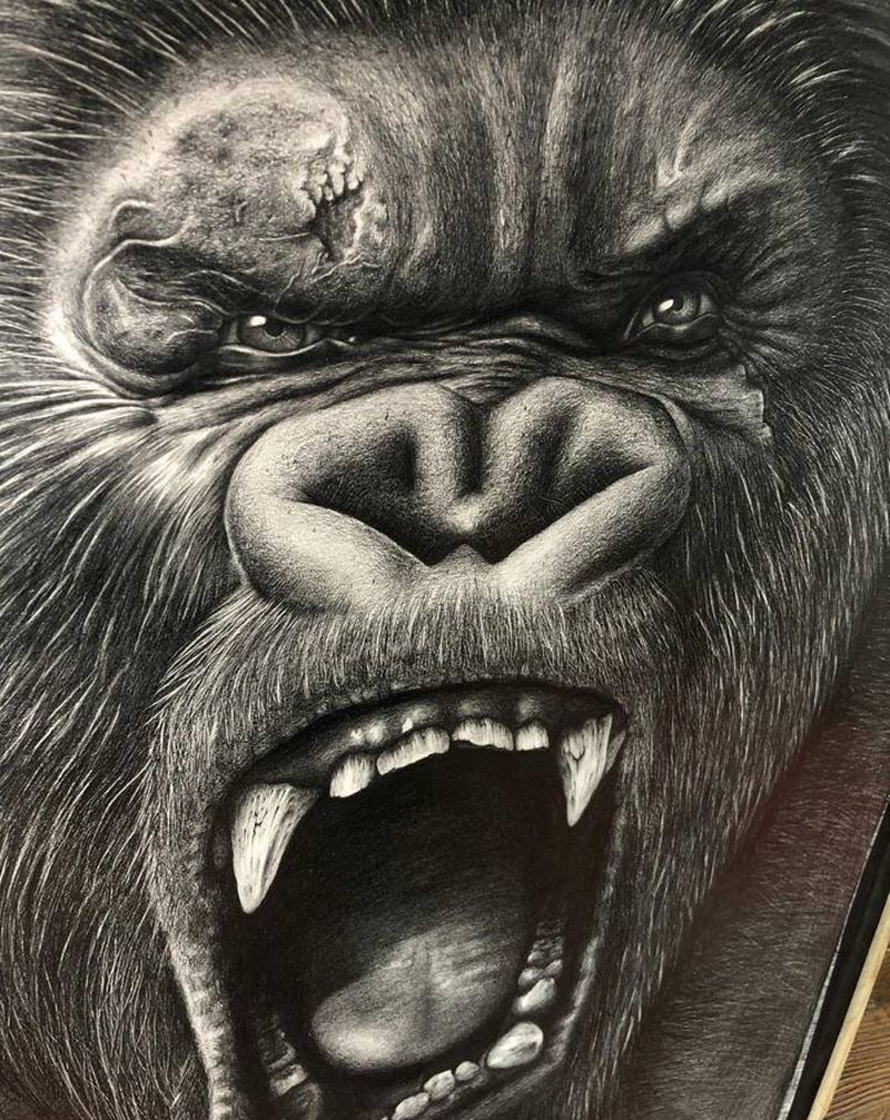 手稿纹身图片_手臂背部欧美写实老传统纹身图案