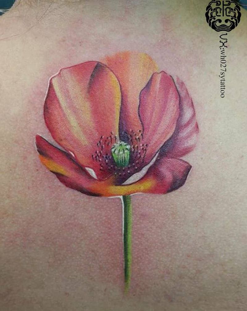 罂粟纹身图片_背部欧美写实罂粟花纹身图案