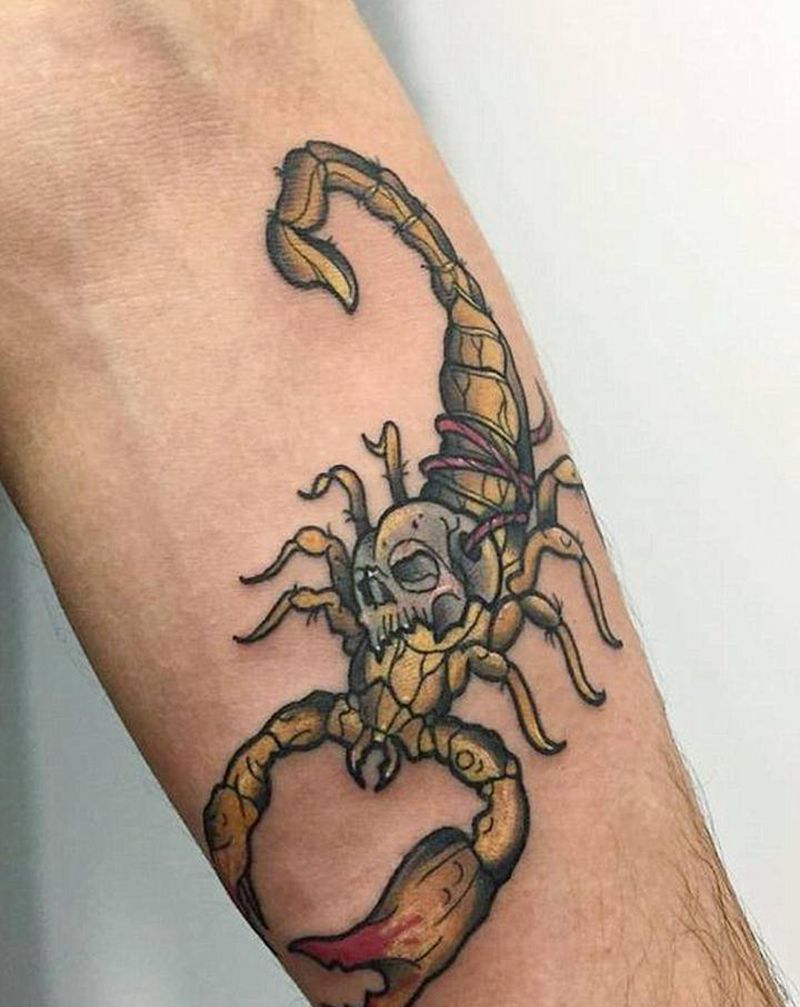 天蝎座纹身图片_手臂New School蝎子天蝎座天蝎纹身图案