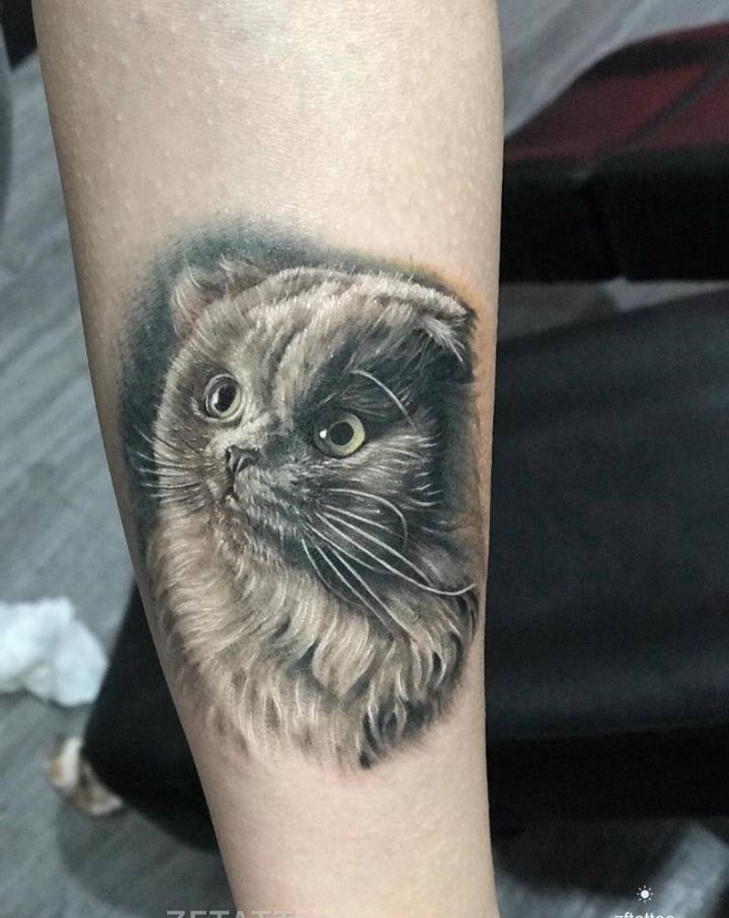 猫纹身图片_手臂欧美写实纹身图案