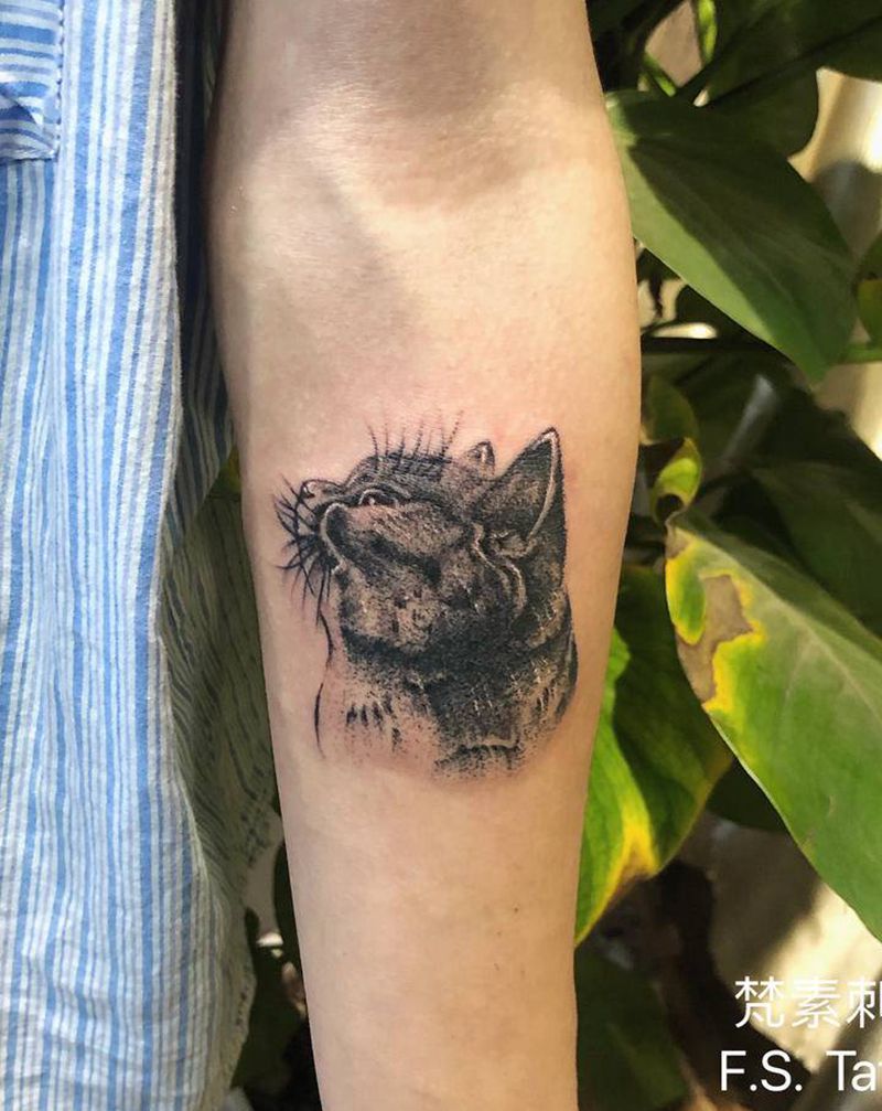 蓝猫纹身图片_手臂欧美写实纹身图案