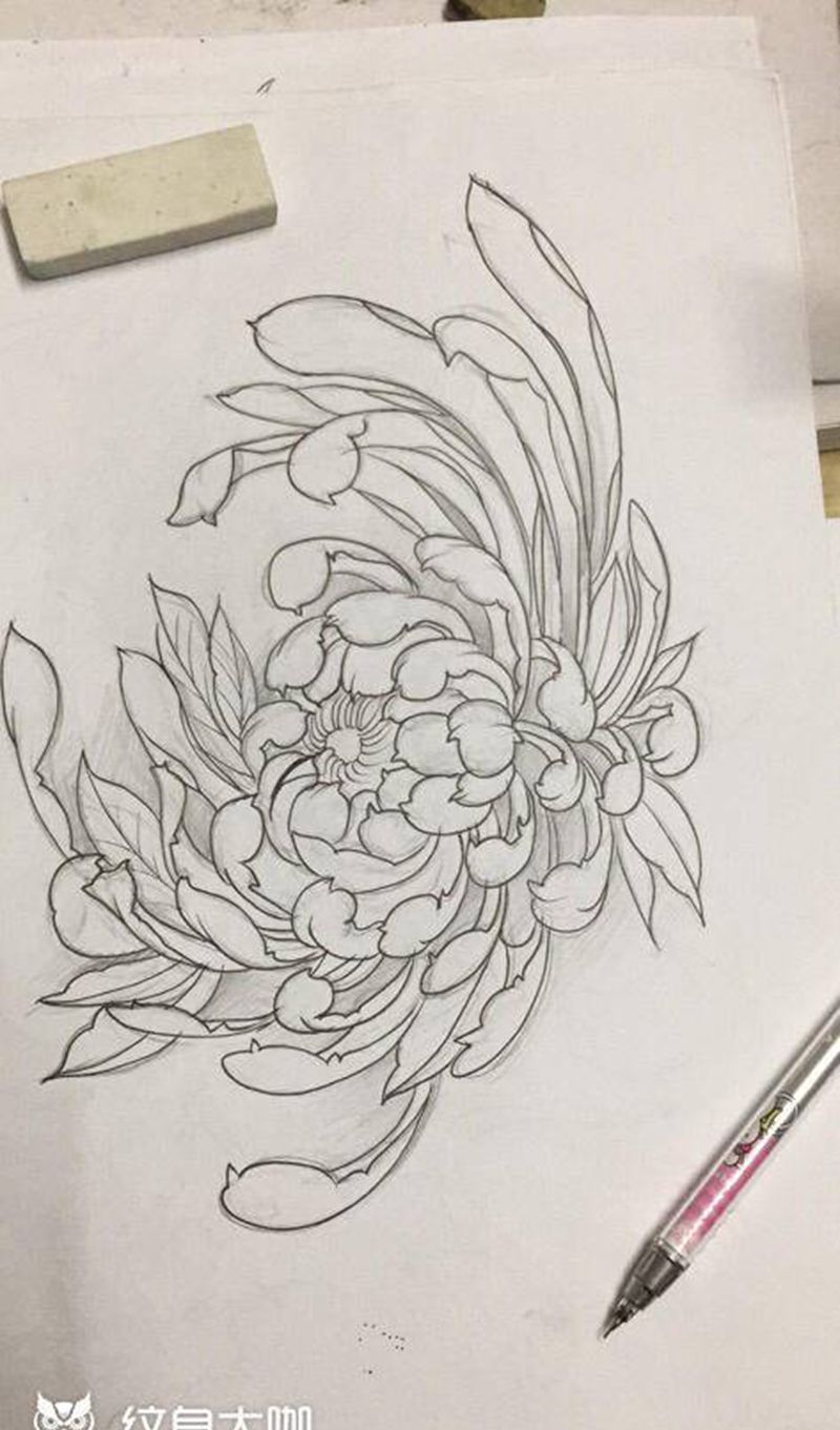 绘画作品菊花纹身图片_新传统纹身图案