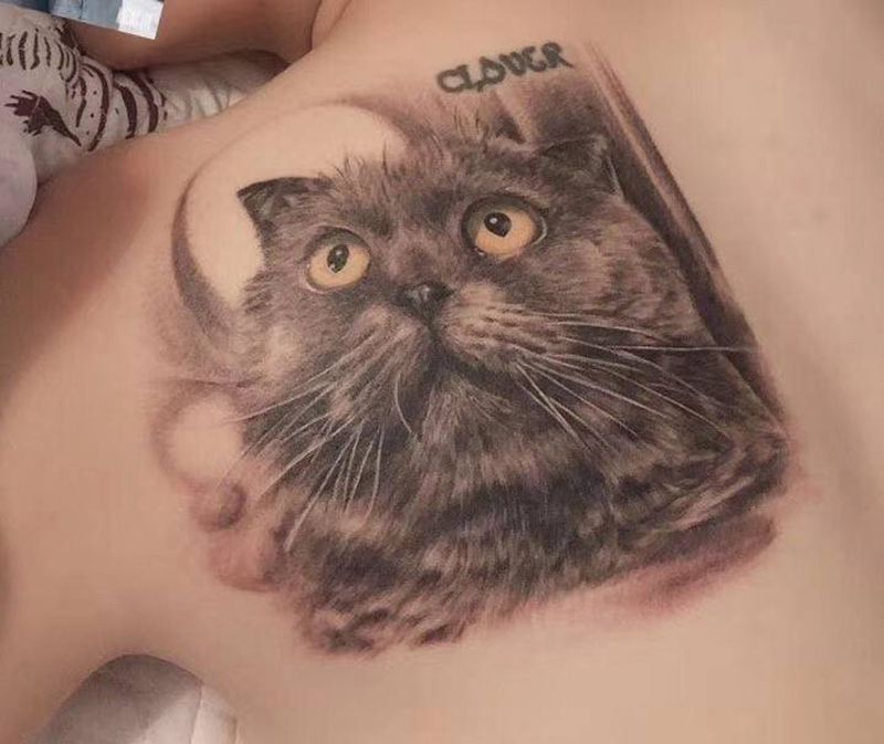 猫纹身图片_背部欧美写实纹身图案