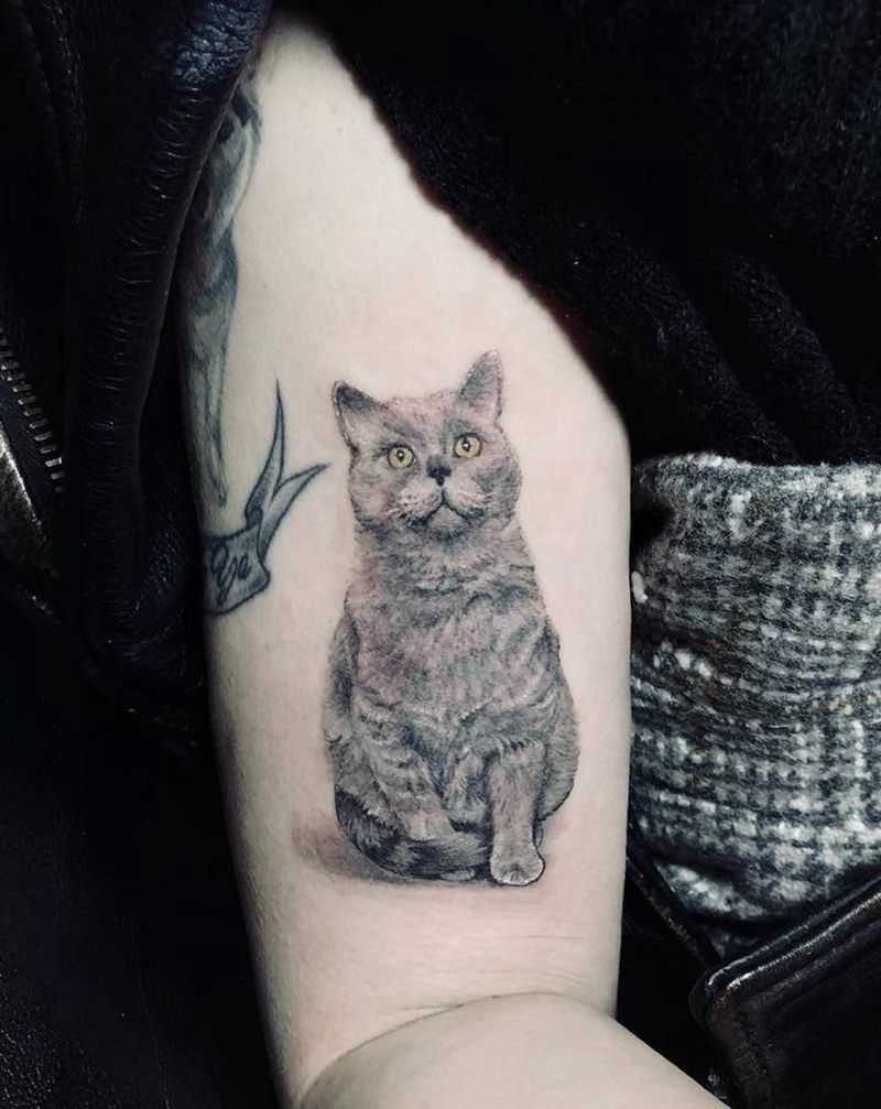 写实蓝猫纹身图片_手臂欧美写实纹身图案