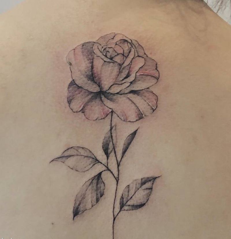 玫瑰纹身图片_背部素花纹身图案