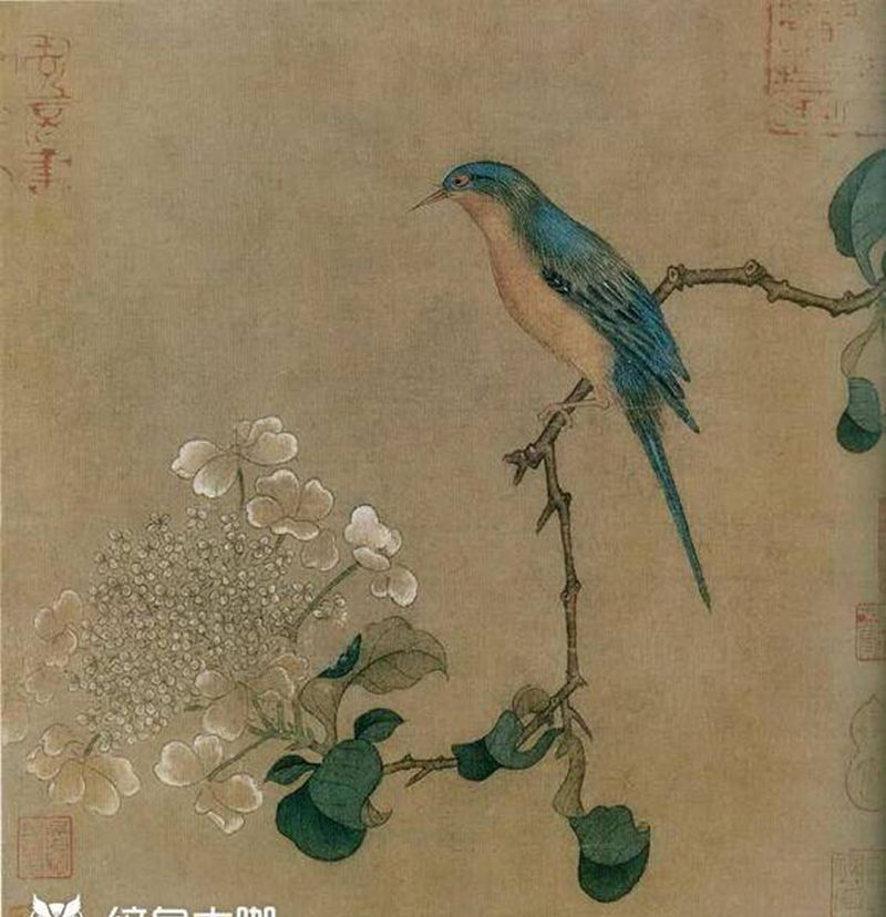 南宋画写意纹身纹身图片_手部手臂新传统鸟花纹身图案