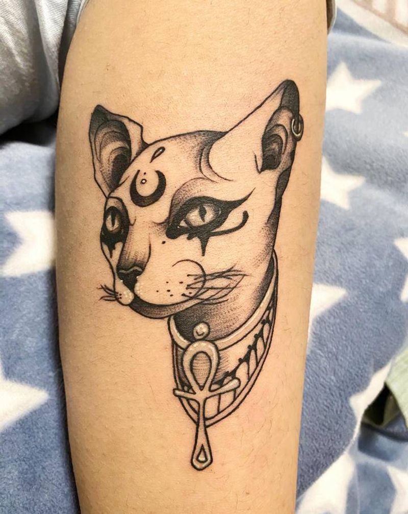 猫纹身图片_腿部纹身图案