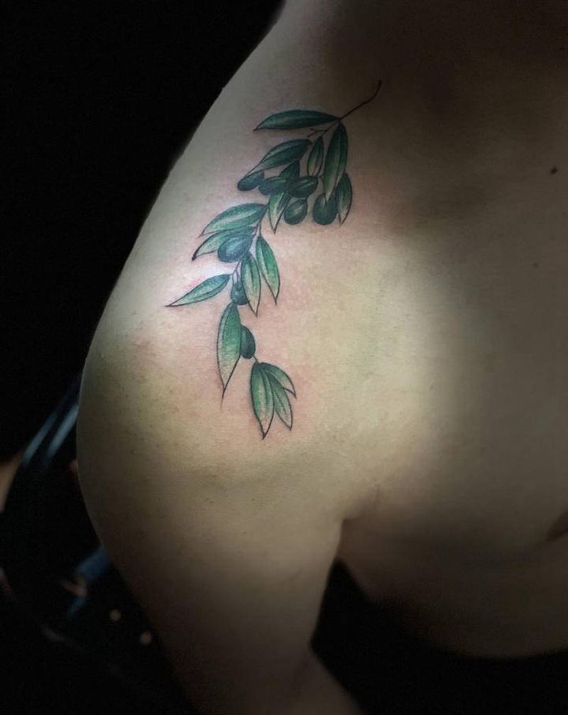 橄榄枝纹身图片_肩部纹身图案