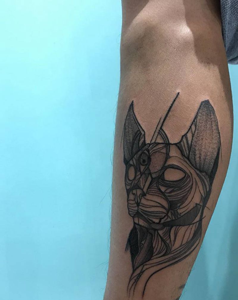 无毛猫纹身图片_腿部纹身图案