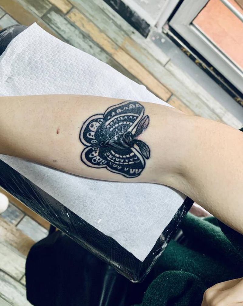 遮盖蝴蝶纹身图片_手臂纹身图案